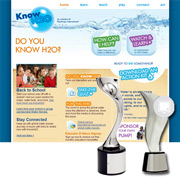 Play Pumps Website Award Winner