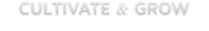 Cultivate and grow: traffic | social media | reputation