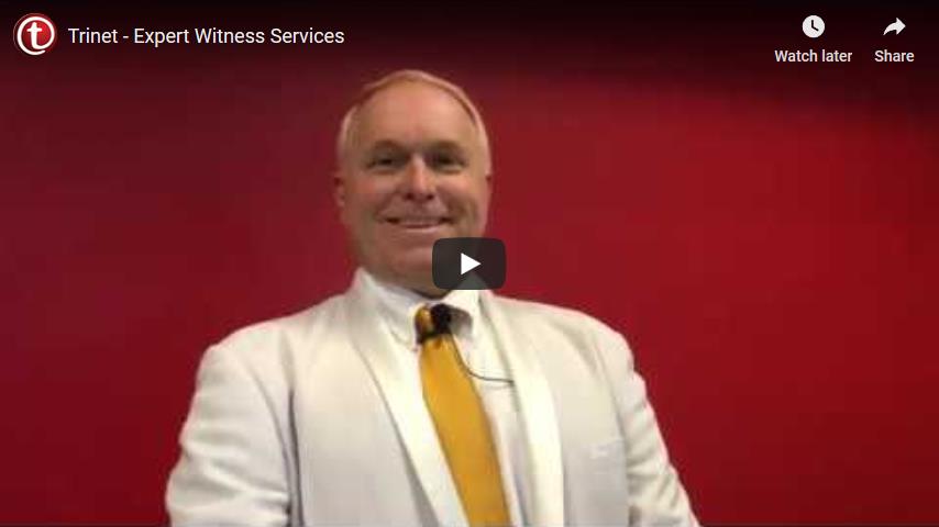 Expert Witness Services